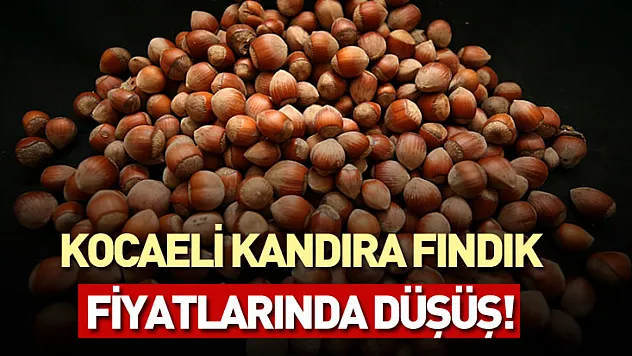 Kocaeli Kandıra Fındık Fiyatlarında Düşüş! (22 Ocak 2026)