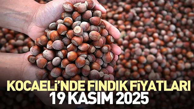 Kocaeli'nde Fındık Fiyatları | 19 Kasım 2025
