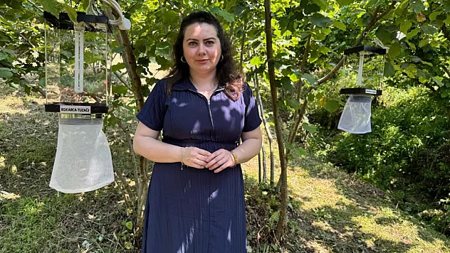 Kokarca zararlısına karşı başarı oranı yüzde 97