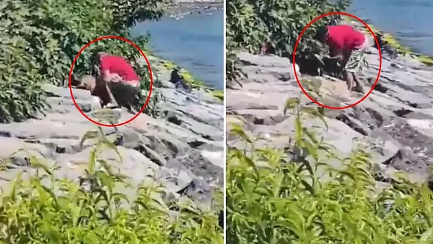 Köpeğe şiddet uygulayan şahıs gözaltına alındı