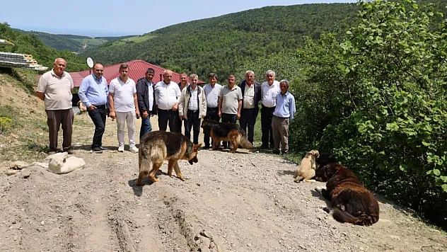 Muhtarların tepkisini çeken hayvan barınağı mühürlendi