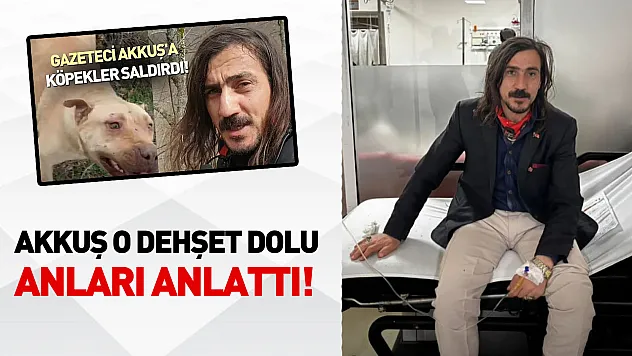 Köpek saldırısına uğrayan Akkuş o anları anlattı!