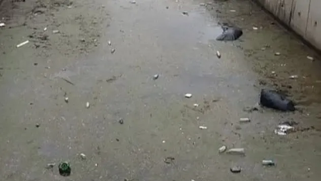 Körfez çöplüğe döndü