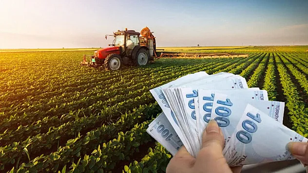 Köye dönene maaş ve çiftlik desteği: Bekâra 2, evliye 3 asgari ücret!