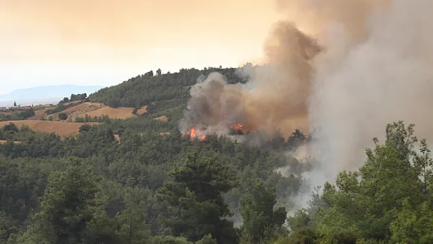Kozan'da orman yangını: 40 ev tahliye edildi