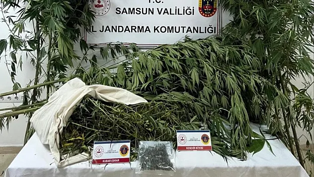 Kubar esrar ele geçirdi