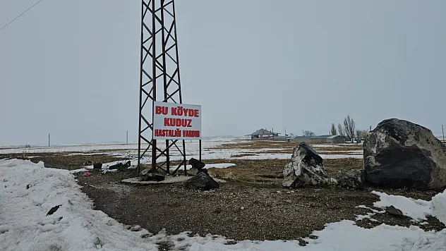 Kuduz tehlikesi bir köyü alarma geçirdi