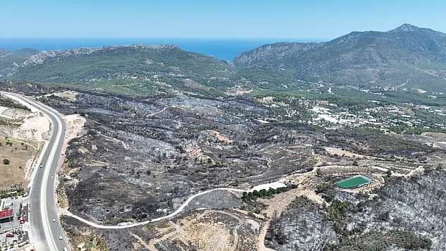 Kumluca'da yangının yaraları sarılıyor
