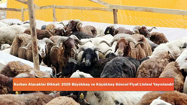 Kurban Alacaklar Dikkat: 2026 Büyükbaş ve Küçükbaş Güncel Fiyat Listesi Yayınlandı!