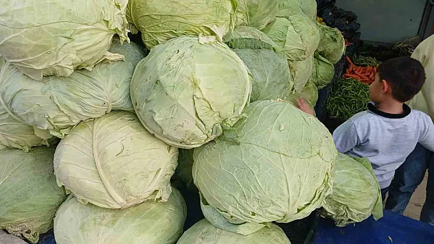 Lahanalar tezgahlarda yerini aldı