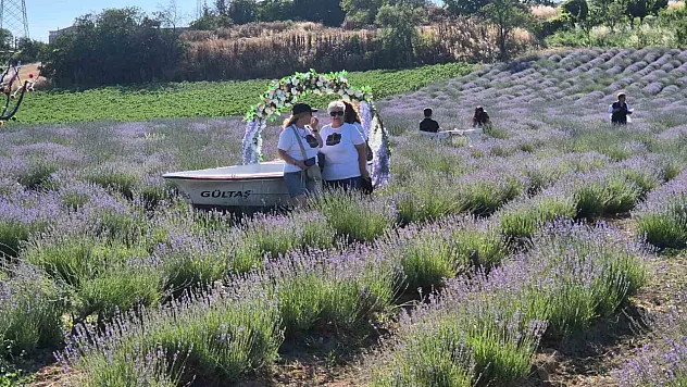 Lavanta Şenliği başladı