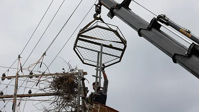 Leyleklere yuva, kuşlara güvenli elektrik hattı