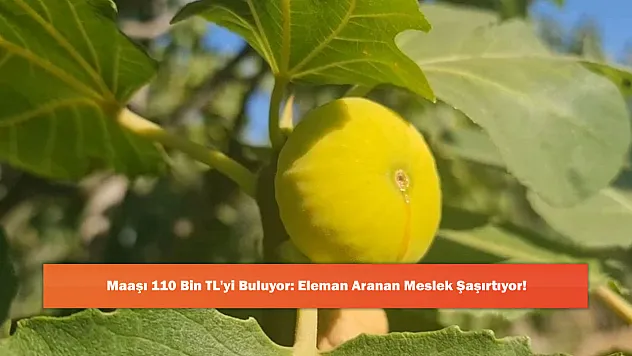 Maaşı 110 Bin TL'yi Buluyor: Eleman Aranan Meslek Şaşırtıyor!