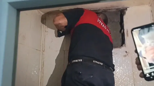 Mahsur kalan yavru kedi kurtarıldı