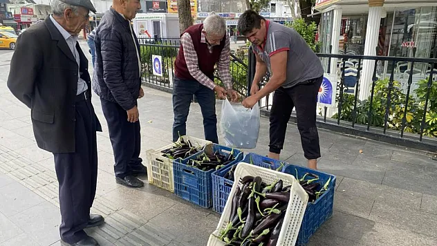 Maliyetini kurtarmayınca serasının kapılarını vatandaşlara açtı