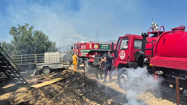 Manavgat'ta Seleukeia antik kenti yakınlarında korkutan yangın