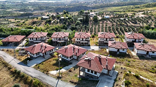 Manavgat'taki büyük orman yangınının üzerinden 5 yıl geçti: Yaralar sarıldı, doğa yeniden yeşeriyor