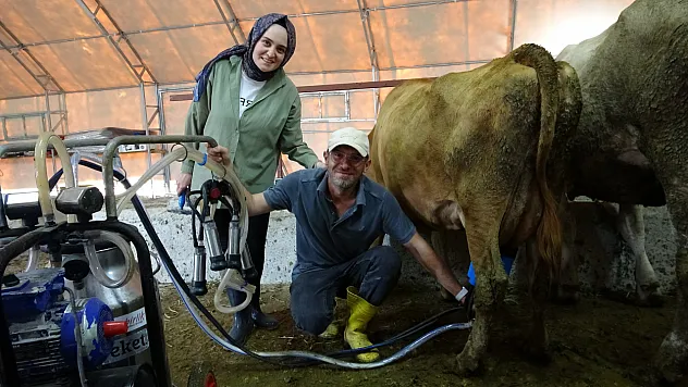 Masa başından ahıra uzanan hayal: Üç inekle çiftlik kurdular