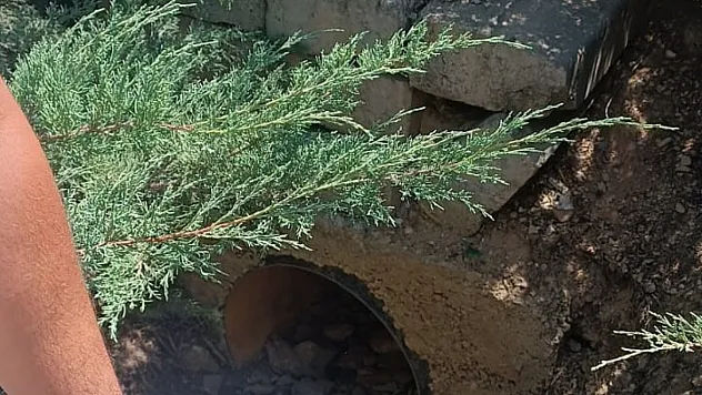 Menfezdeki 2 köpek kurtarıldı