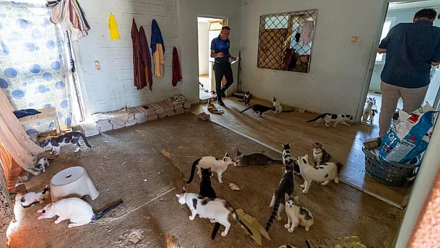 Mersin'de kötü koku ihbarına giden ekipler şaşkına döndü Evden 100'e yakın kedi çıktı