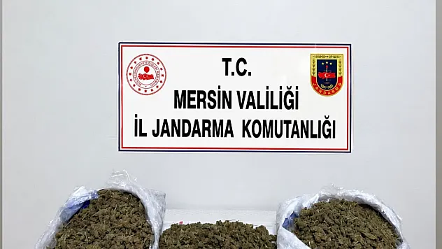 Mersin'de uyuşturucu operasyonu 2 şüpheli tutuklandı