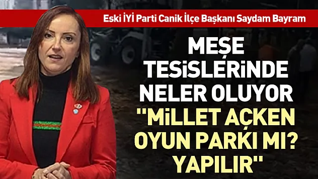 Meşe tesislerinde neler oluyor