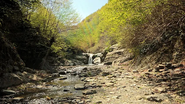 Mide Ağrısına Osmanlı Usulü Çözüm! Alaçam Acısu Şifası Nedir?