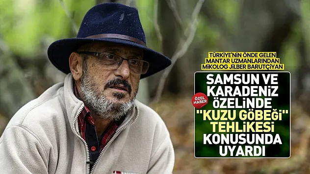 Mikolog Barutçiyan, 'Zehirli Mantar bakarak anlaşılmaz'