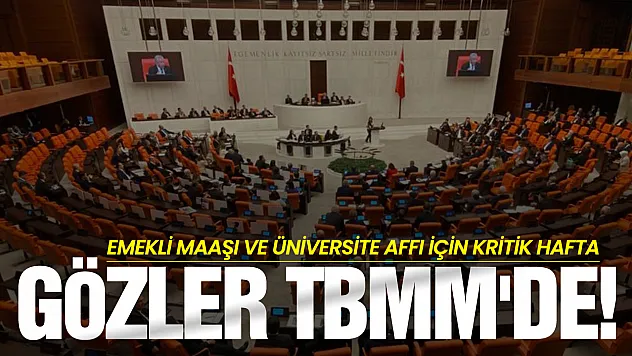 Milyonları ilgilendiren hafta! Emekli maaşı görüşülecek