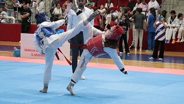 Minikler Taekwondo İl Seçmeleri 16-17 Ağustos'ta Yapılacak