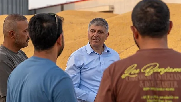 Mısırda 1 milyon 135 bin ton rekolte bekleniyor