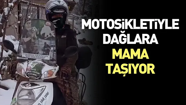 Motosikletiyle dağlara mama taşıyor