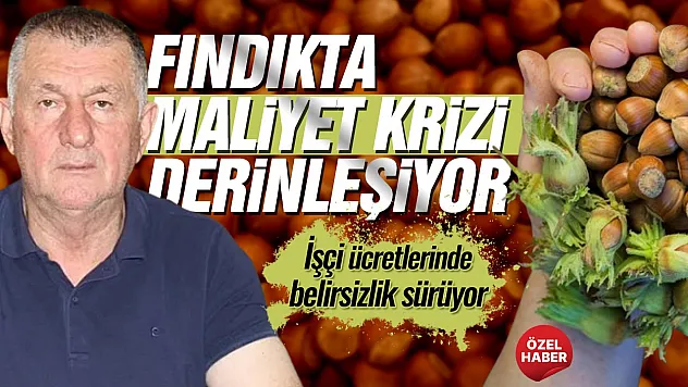 Muammer Aydemir, 'Fındıkta maliyetler katlandı, işçi yevmiyeleri belirsizliğini koruyor'