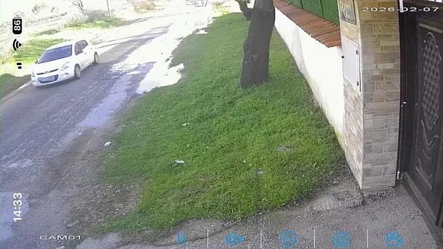 Köpek hırsızlığı kamerada! Sahibinden şaşırtan teklif