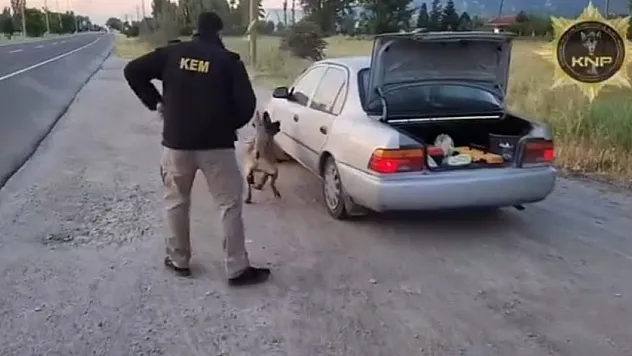 Narkotik köpeği Thor, eliyle koymuş gibi buldu