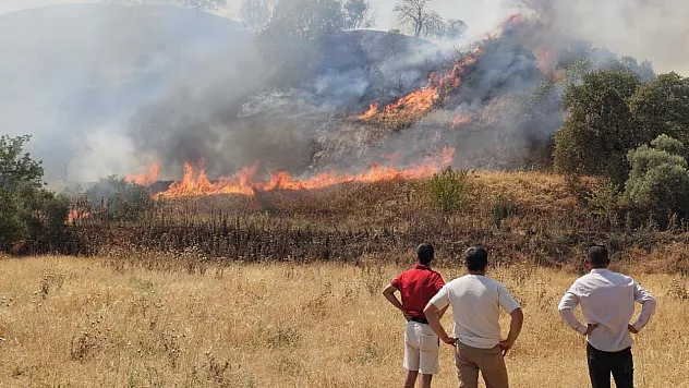 Nazilli'de zirai alanda çıkan yangın kontrol altına alındı