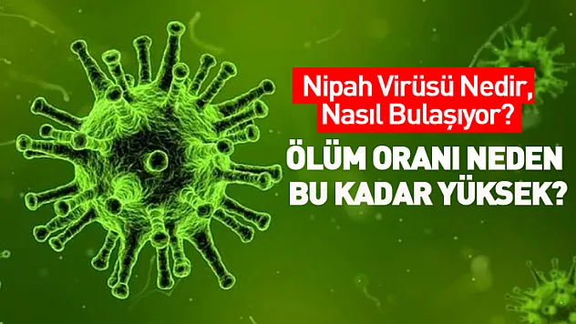 Nipah Virüsü Nedir, Nasıl Bulaşıyor? Ölüm Oranı Neden Bu Kadar Yüksek?