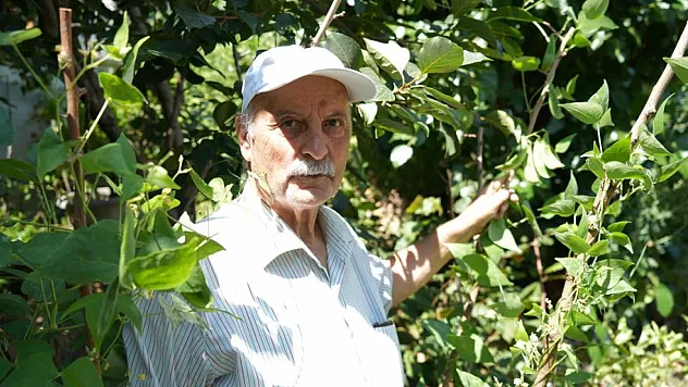 'Olmaz' Denilen Ürünleri Samsun Toprağında Yetiştirdi