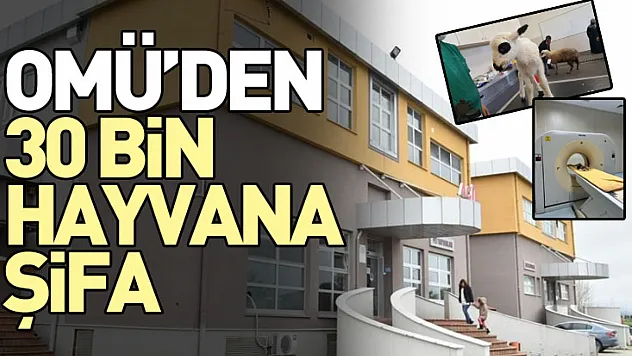 OMÜ'den 30 Bin Hayvana Şifa