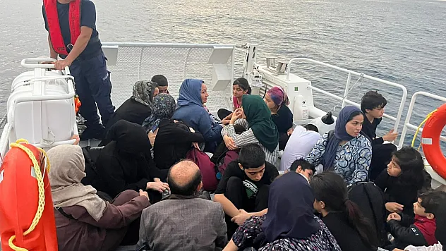 Operasyonlarda 81 düzensiz göçmen yakalandı