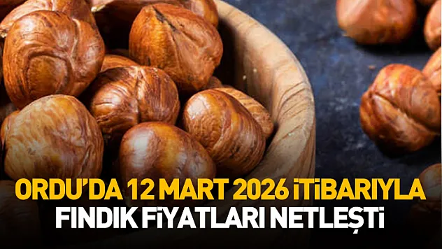 Ordu'da 12 Mart 2026 itibarıyla fındık fiyatları netleşti