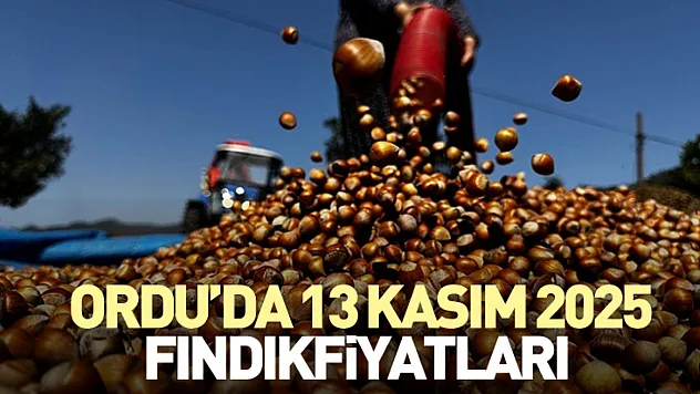 Ordu'da 13 Kasım 2025 Fındık Fiyatları