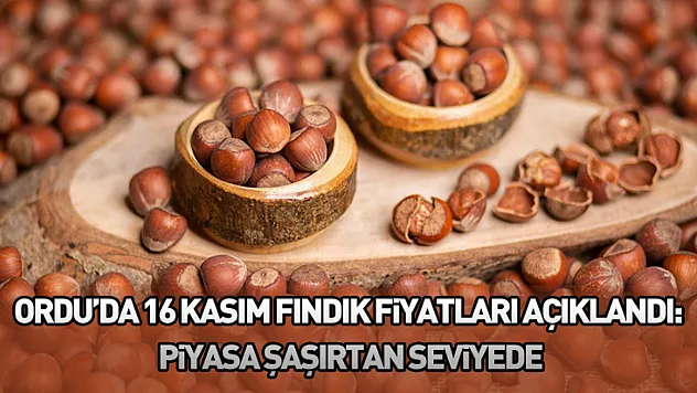 Ordu'da 16 Kasım fındık fiyatları açıklandı: Piyasa şaşırtan seviyede