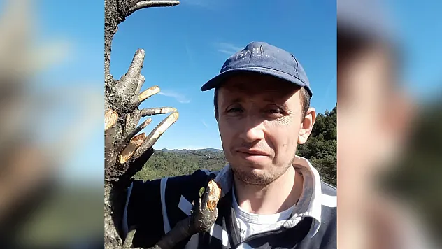 Ordu'da ağaçtan düşen şahıs yaşamını yitirdi
