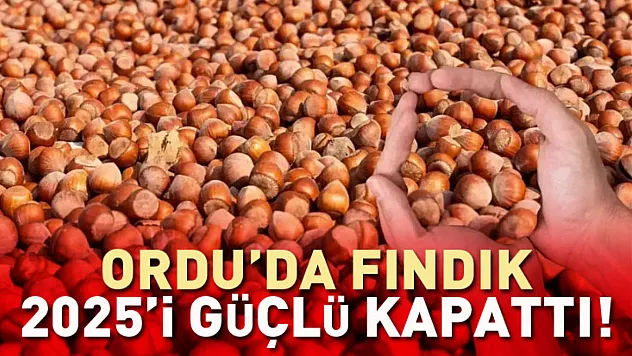 Ordu'da Fındık 2025'i Güçlü Kapattı! İlçelerde 284 TL'ye Dayanan Fiyatlar