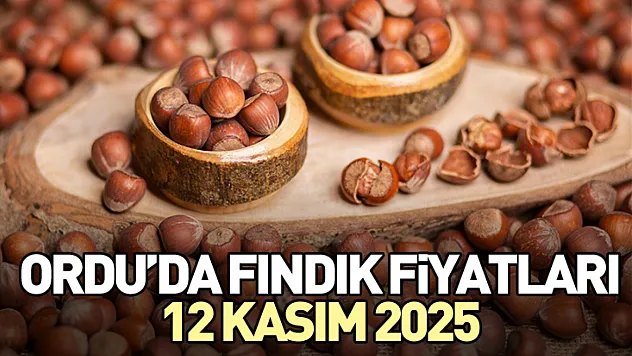 Ordu'da Fındık Fiyatları 12 Kasım 2025