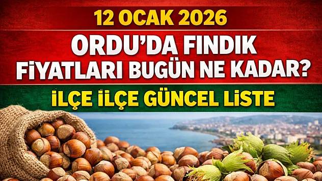 Ordu'da Fındık Fiyatları Bugün Ne Kadar? 12 Ocak 2026 İlçe İlçe Güncel Liste