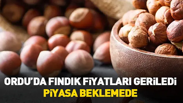27 Ocak 2026 Ordu'da Fındık Fiyatları | Ordu ve İlçelerinde Fındık Bugün Ne Kadar?