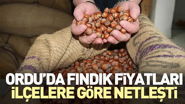 Ordu'da Fındık Fiyatları İlçelere Göre Netleşti