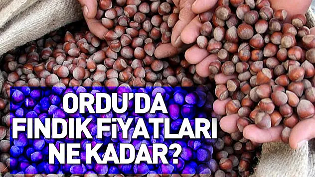 Ordu'da fındık fiyatları ne kadar?